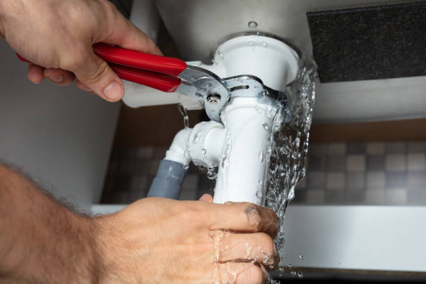 Best Water damage cleanup near me  in La Habra Heights, CA