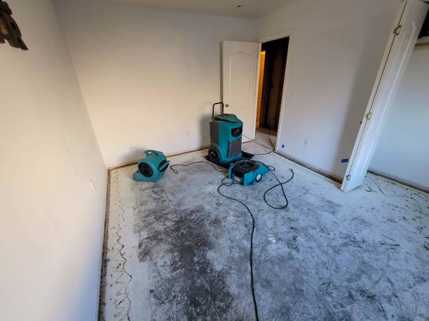 Best Carpet water damage restoration  in La Habra Heights, CA