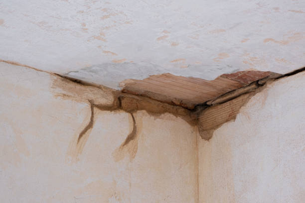 Best 24/7 water damage repair  in La Habra Heights, CA