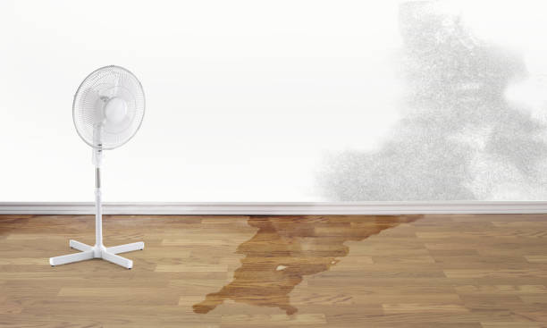 Best Basement water damage restoration  in La Habra Heights, CA