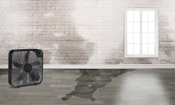 Best 24/7 water damage repair  in La Habra Heights, CA