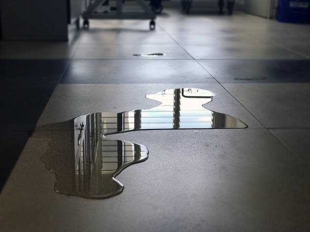 Best Water damage contractors near me  in La Habra Heights, CA