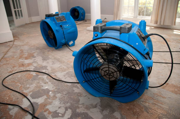 Best Flooded house restoration  in La Habra Heights, CA