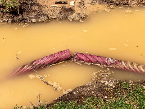 Best 24/7 water damage repair  in La Habra Heights, CA
