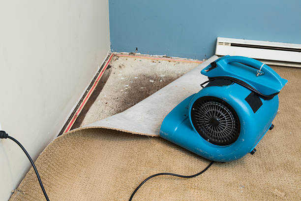 Best Commercial water damage restoration  in La Habra Heights, CA